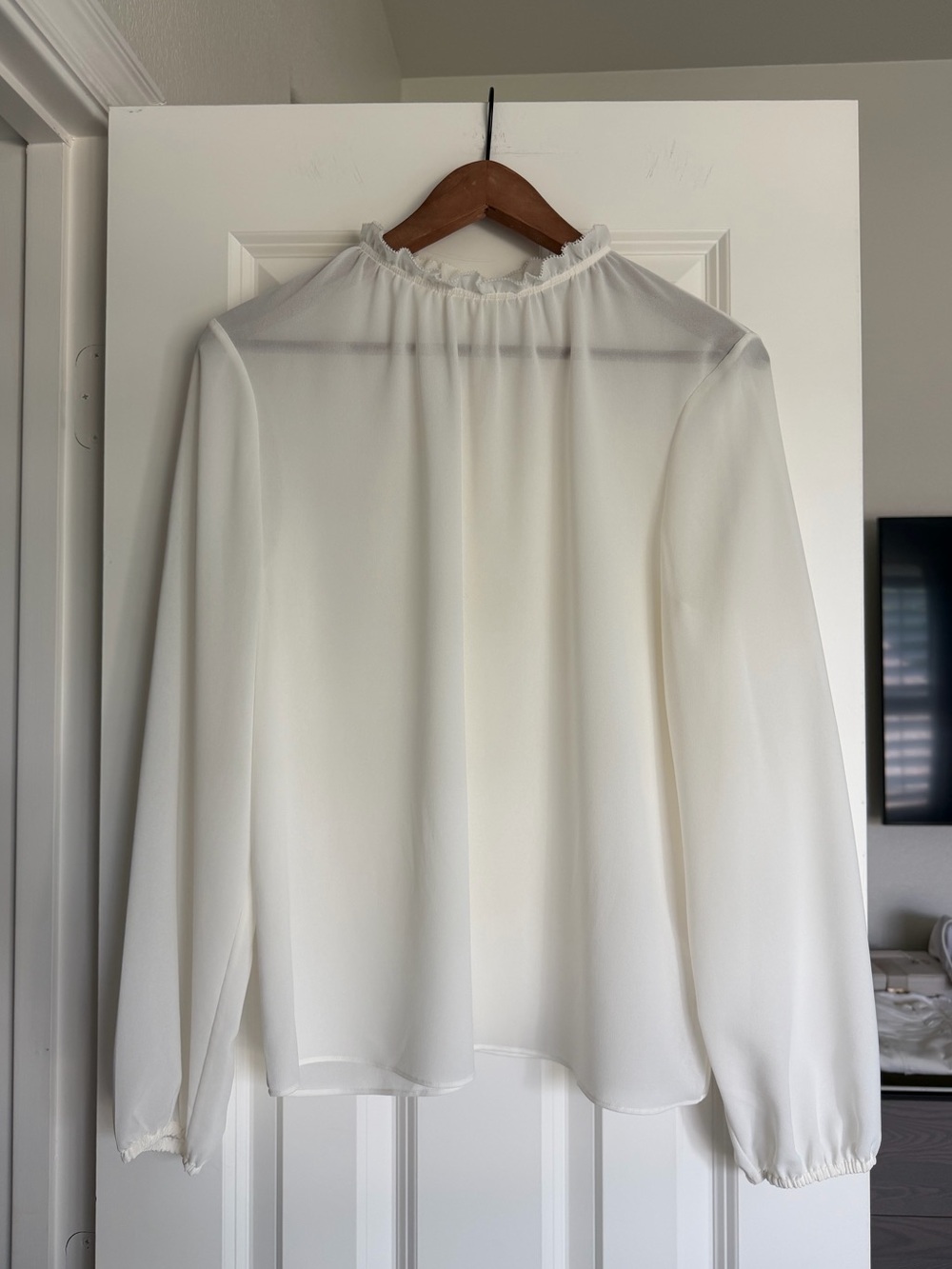 Aritzia Babaton Long-Sleeve Sheer Blouse